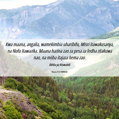 Picture 06 - Hosea 9:6 SWHULB - Kwa maana, angalia, wamekimbia uharibifu, Misri - Bible Verse Picture