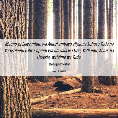 Picture 06 - Isaya 1:1 SWHULB - Maono ya Isaya mtoto wa Amozi ambayo aliyaona - Bible Verse Picture