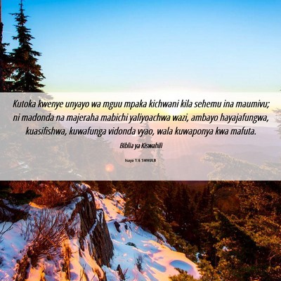 Picture 06 - Isaya 1:6 SWHULB - Kutoka kwenye unyayo wa mguu mpaka kichwani kila - Bible Verse Picture
