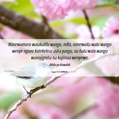 Picture 06 - Isaya 13:3 SWHULB - Nimewamuru watakatifu wangu, ndio, nimewaita watu - Bible Verse Picture