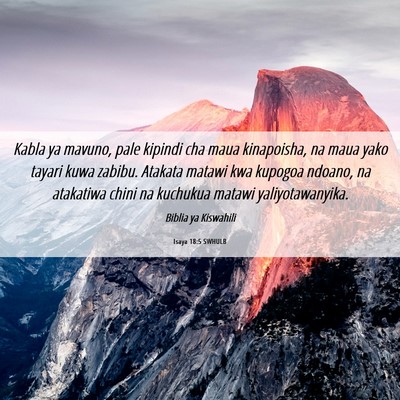 Picture 06 - Isaya 18:5 SWHULB - Kabla ya mavuno, pale kipindi cha maua - Bible Verse Picture