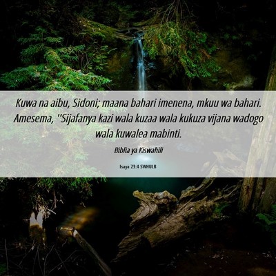 Picture 06 - Isaya 23:4 SWHULB - Kuwa na aibu, Sidoni; maana bahari imenena, mkuu - Bible Verse Picture