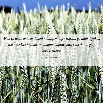Picture 06 - Isaya 34:3 SWHULB - Miili ya watu wao waliokufa itatupwa nje. Harufu - Bible Verse Picture