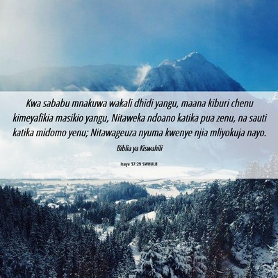 Picture 06 - Isaya 37:29 SWHULB - Kwa sababu mnakuwa wakali dhidi yangu, maana - Bible Verse Picture