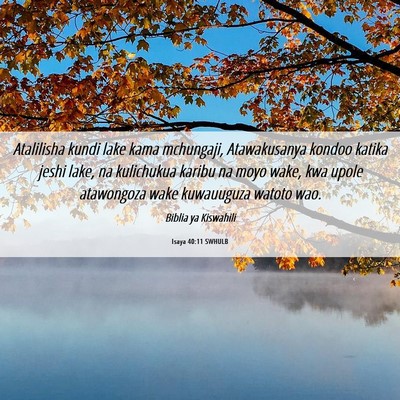 Picture 06 - Isaya 40:11 SWHULB - Atalilisha kundi lake kama mchungaji, - Bible Verse Picture
