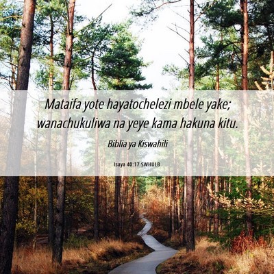 Picture 06 - Isaya 40:17 SWHULB - Mataifa yote hayatochelezi mbele yake; - Bible Verse Picture