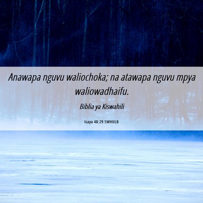 Picture 06 - Isaya 40:29 SWHULB - Anawapa nguvu waliochoka; na atawapa nguvu mpya - Bible Verse Picture
