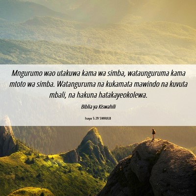 Picture 06 - Isaya 5:29 SWHULB - Mngurumo wao utakuwa kama wa simba, wataunguruma - Bible Verse Picture