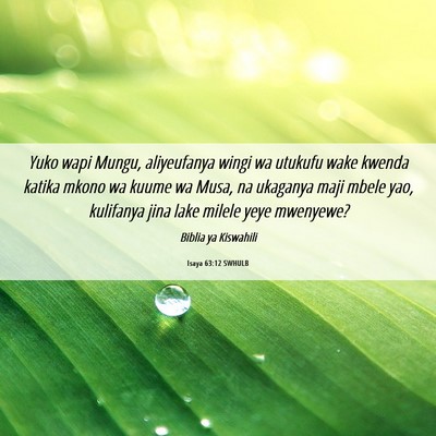 Picture 06 - Isaya 63:12 SWHULB - Yuko wapi Mungu, aliyeufanya wingi wa utukufu - Bible Verse Picture