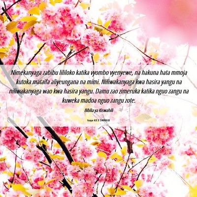 Picture 06 - Isaya 63:3 SWHULB - Nimekanyaga zabibu lililoko katika vyombo - Bible Verse Picture