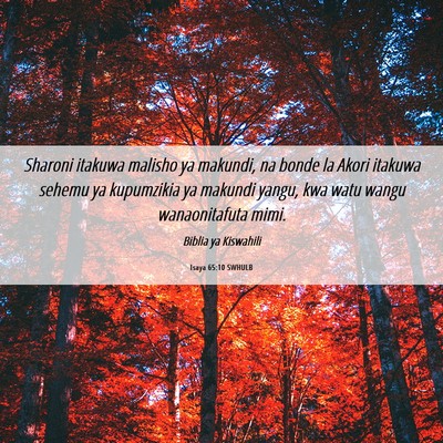 Picture 06 - Isaya 65:10 SWHULB - Sharoni itakuwa malisho ya makundi, na bonde la - Bible Verse Picture