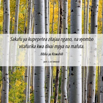 Picture 06 - Joeli 2:24 SWHULB - Sakafu ya kupepetea zitajaa ngano, na vyombo - Bible Verse Picture
