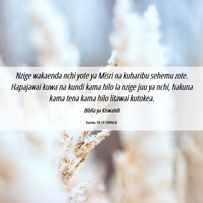 Picture 06 - Kutoka 10:14 SWHULB - Nzige wakaenda nchi yote ya Misri na kuharibu - Bible Verse Picture
