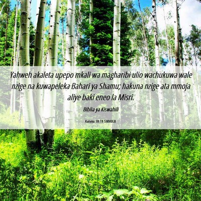Picture 06 - Kutoka 10:19 SWHULB - Yahweh akaleta upepo mkali wa magharibi ulio - Bible Verse Picture