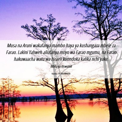 Picture 06 - Kutoka 11:10 SWHULB - Musa na Aruni wakafanya mambo haya ya kushangaza - Bible Verse Picture