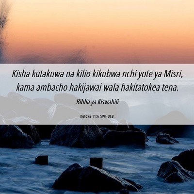 Picture 06 - Kutoka 11:6 SWHULB - Kisha kutakuwa na kilio kikubwa nchi yote ya - Bible Verse Picture