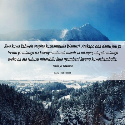 Picture 06 - Kutoka 12:23 SWHULB - Kwa kuwa Yahweh atapita kushambulia Wamisri. - Bible Verse Picture