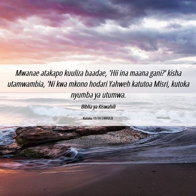 Picture 06 - Kutoka 13:14 SWHULB - Mwanae atakapo kuuliza baadae, 'Hii ina maana - Bible Verse Picture