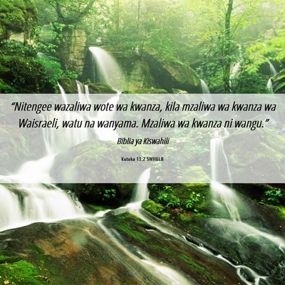 Picture 06 - Kutoka 13:2 SWHULB - “Nitengee wazaliwa wote wa kwanza, kila mzaliwa - Bible Verse Picture