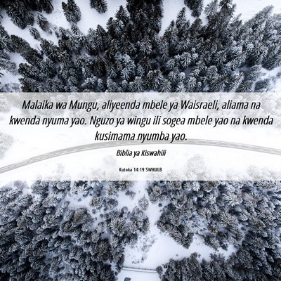 Picture 06 - Kutoka 14:19 SWHULB - Malaika wa Mungu, aliyeenda mbele ya Waisraeli, - Bible Verse Picture