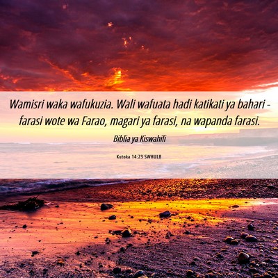 Picture 06 - Kutoka 14:23 SWHULB - Wamisri waka wafukuzia. Wali wafuata hadi - Bible Verse Picture