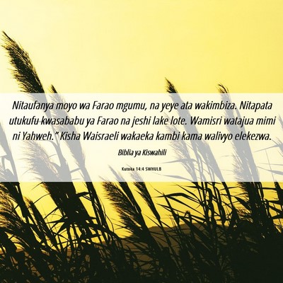 Picture 06 - Kutoka 14:4 SWHULB - Nitaufanya moyo wa Farao mgumu, na yeye ata - Bible Verse Picture