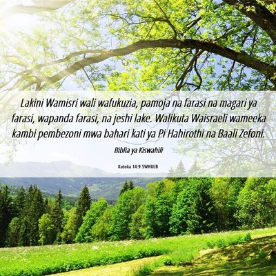 Picture 06 - Kutoka 14:9 SWHULB - Lakini Wamisri wali wafukuzia, pamoja na farasi - Bible Verse Picture