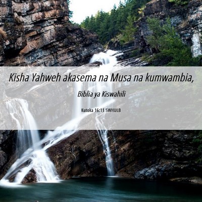Picture 06 - Kutoka 16:11 SWHULB - Kisha Yahweh akasema na Musa na - Bible Verse Picture