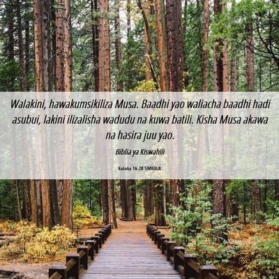 Picture 06 - Kutoka 16:20 SWHULB - Walakini, hawakumsikiliza Musa. Baadhi yao - Bible Verse Picture