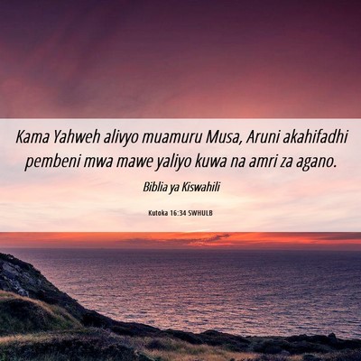 Picture 06 - Kutoka 16:34 SWHULB - Kama Yahweh alivyo muamuru Musa, Aruni akahifadhi - Bible Verse Picture