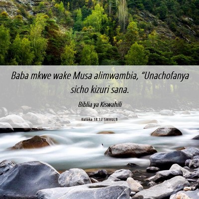 Picture 06 - Kutoka 18:17 SWHULB - Baba mkwe wake Musa alimwambia, “Unachofanya - Bible Verse Picture