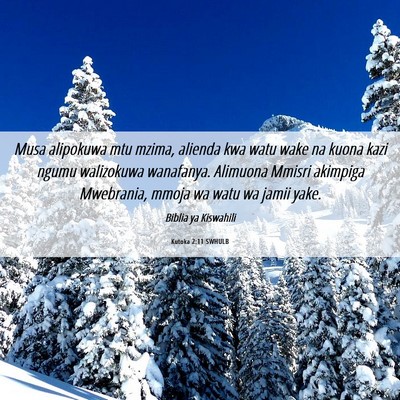 Picture 06 - Kutoka 2:11 SWHULB - Musa alipokuwa mtu mzima, alienda kwa watu wake - Bible Verse Picture