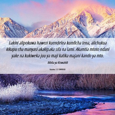 Picture 06 - Kutoka 2:3 SWHULB - Lakini alipokuwa hawezi kuendelea kumficha tena, - Bible Verse Picture