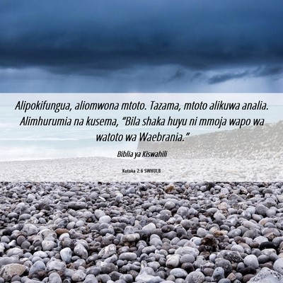 Picture 06 - Kutoka 2:6 SWHULB - Alipokifungua, aliomwona mtoto. Tazama, mtoto - Bible Verse Picture