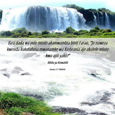 Picture 06 - Kutoka 2:7 SWHULB - Basi dada wa yule mtoto akamwambia binti Farao, - Bible Verse Picture