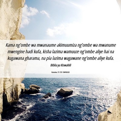 Picture 06 - Kutoka 21:35 SWHULB - Kama ng'ombe wa mwanaume akimuumiza ng'ombe wa - Bible Verse Picture