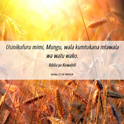 Picture 06 - Kutoka 22:28 SWHULB - Usinikufuru mimi, Mungu, wala kumtukana mtawala - Bible Verse Picture