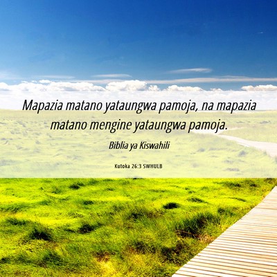 Picture 06 - Kutoka 26:3 SWHULB - Mapazia matano yataungwa pamoja, na mapazia - Bible Verse Picture