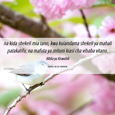 Picture 06 - Kutoka 30:24 SWHULB - na kida shekeli mia tano, kwa kuiandama shekeli - Bible Verse Picture