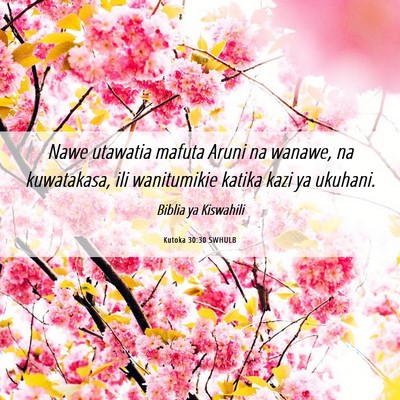 Picture 06 - Kutoka 30:30 SWHULB - Nawe utawatia mafuta Aruni na wanawe, na - Bible Verse Picture