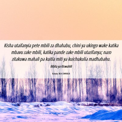 Picture 06 - Kutoka 30:4 SWHULB - Kisha utaifanyia pete mbili za dhahabu, chini ya - Bible Verse Picture