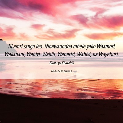 Picture 06 - Kutoka 34:11 SWHULB - Tii amri zangu leo. Ninawaondoa mbele yako - Bible Verse Picture