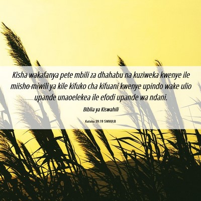 Picture 06 - Kutoka 39:19 SWHULB - Kisha wakafanya pete mbili za dhahabu na kuziweka - Bible Verse Picture