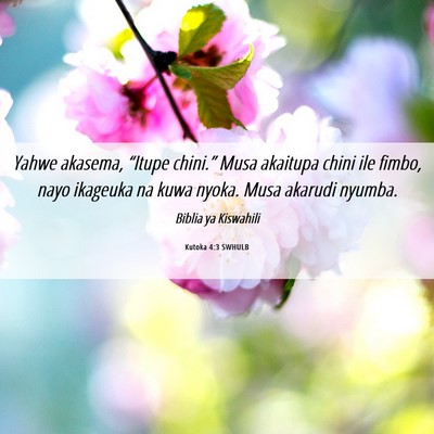 Picture 06 - Kutoka 4:3 SWHULB - Yahwe akasema, “Itupe chini.” Musa akaitupa - Bible Verse Picture