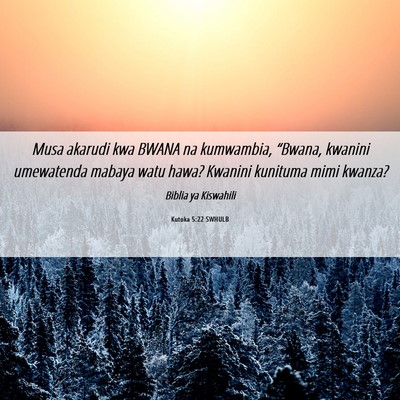 Picture 06 - Kutoka 5:22 SWHULB - Musa akarudi kwa BWANA na kumwambia, “Bwana, - Bible Verse Picture