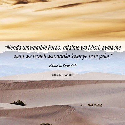 Picture 06 - Kutoka 6:11 SWHULB - “Nenda umwambie Farao, mfalme wa Misri, awaache - Bible Verse Picture