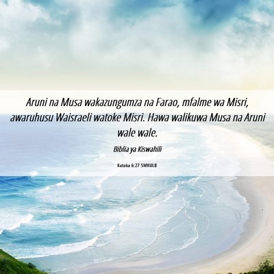 Picture 06 - Kutoka 6:27 SWHULB - Aruni na Musa wakazungumza na Farao, mfalme wa - Bible Verse Picture