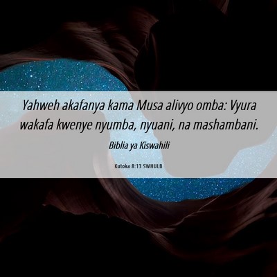 Picture 06 - Kutoka 8:13 SWHULB - Yahweh akafanya kama Musa alivyo omba: Vyura - Bible Verse Picture
