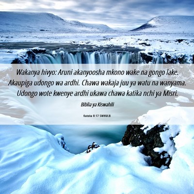 Picture 06 - Kutoka 8:17 SWHULB - Wakanya hivyo: Aruni akanyoosha mkono wake na - Bible Verse Picture
