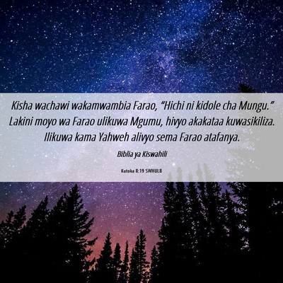 Picture 06 - Kutoka 8:19 SWHULB - Kisha wachawi wakamwambia Farao, “Hichi ni - Bible Verse Picture
